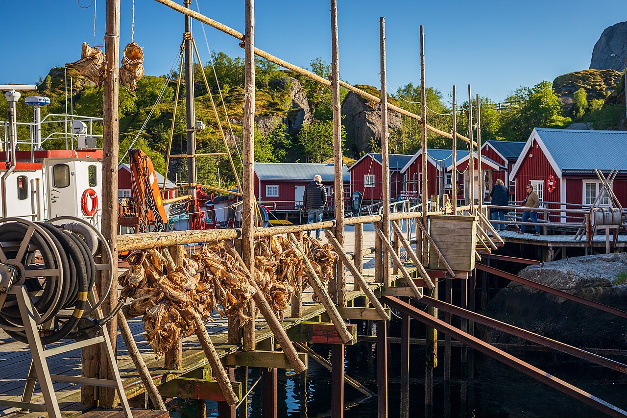 Tørrfiskhjell i Lofoten